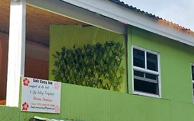 Salz Cozy Inn