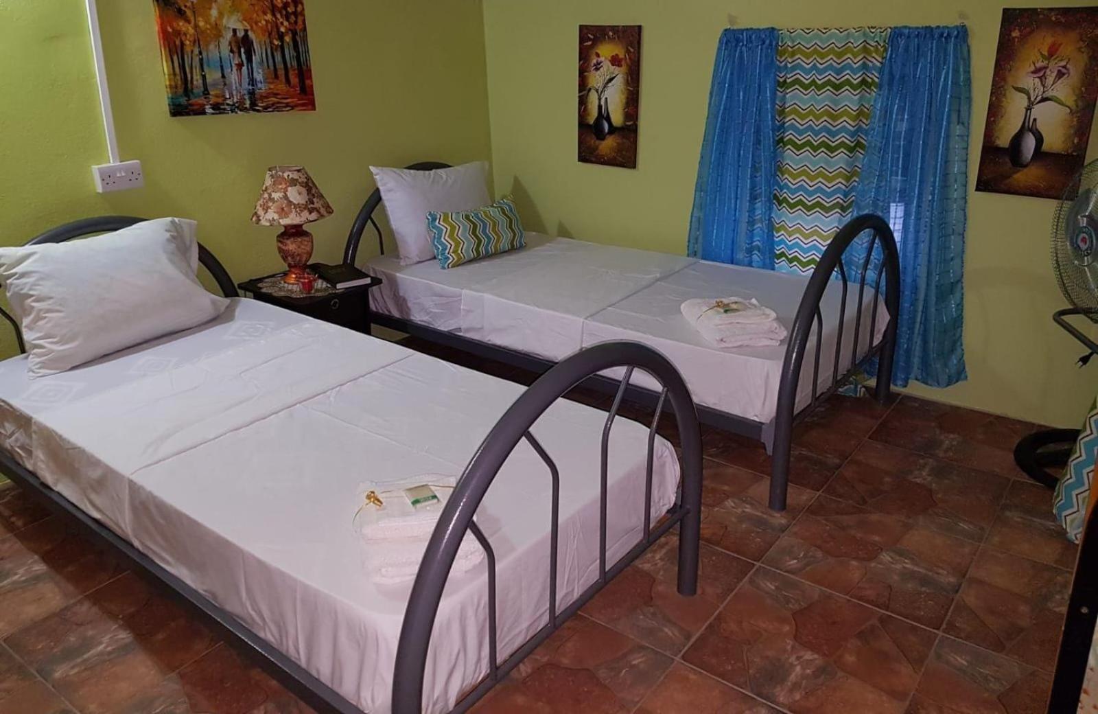 Salz Cozy Inn Roseau Extérieur photo
