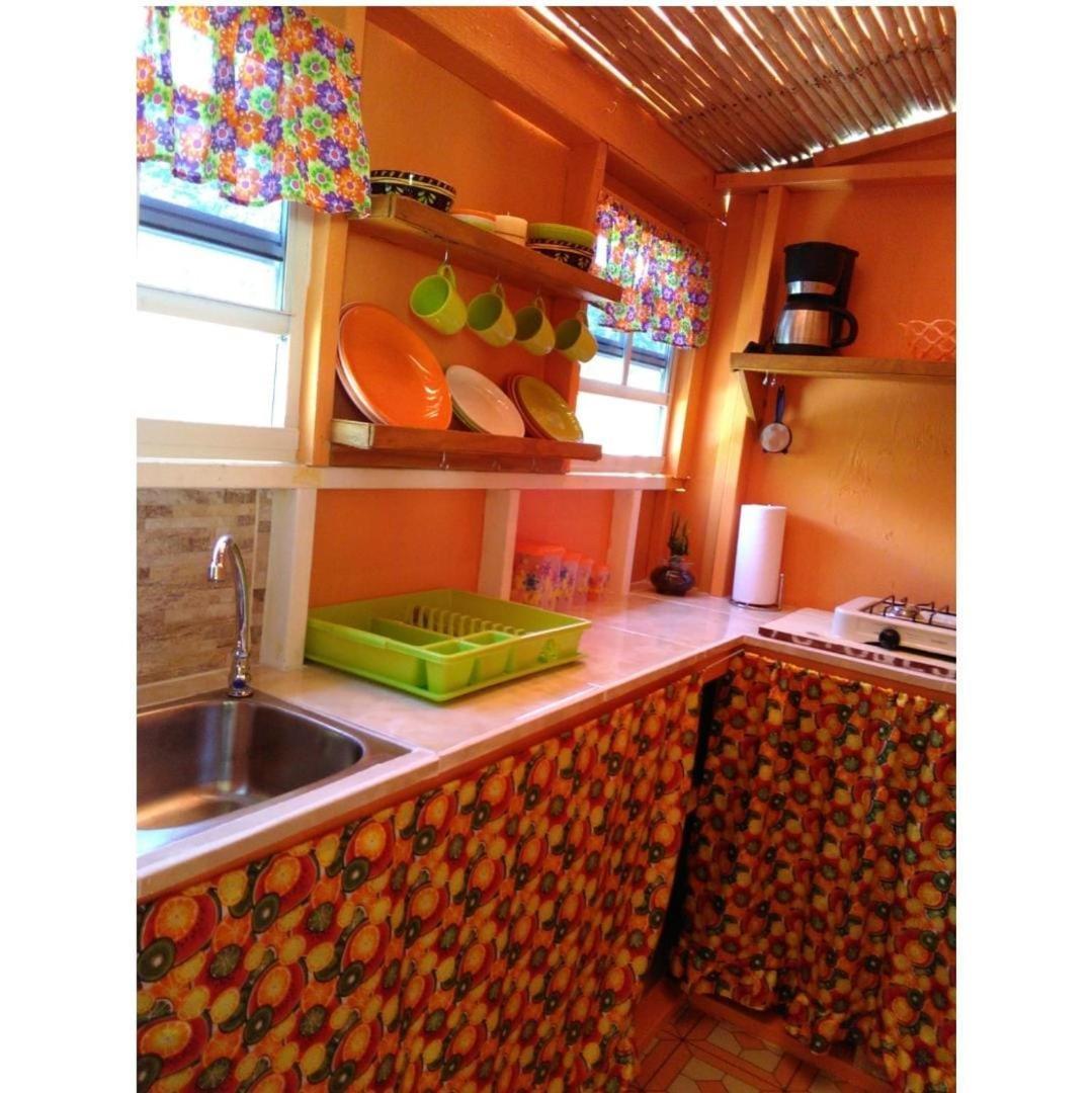 Salz Cozy Inn Roseau Extérieur photo